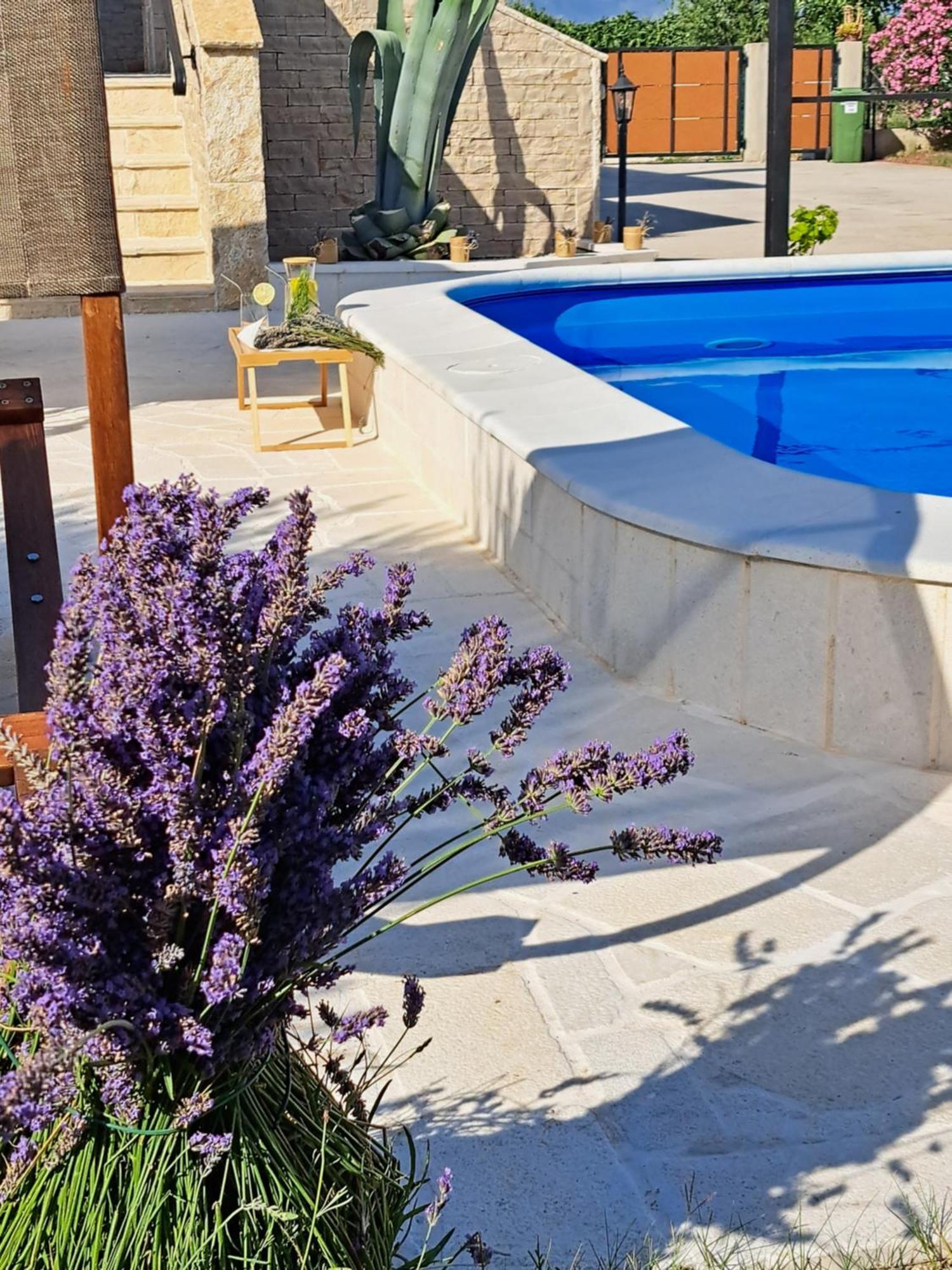 Vila Pan Zadar Exterior foto